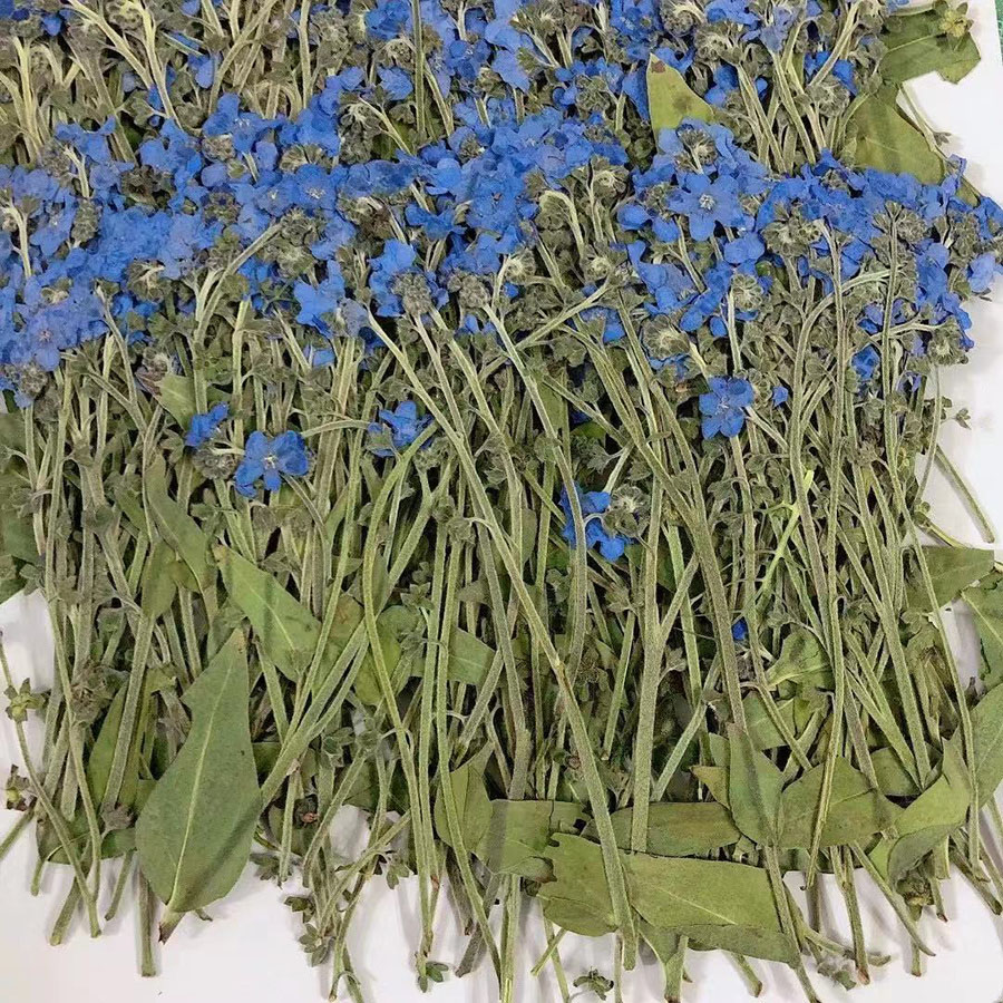 Natürlich gepresste getrocknet – Dried Flower Bookmark Bewertung und Preis