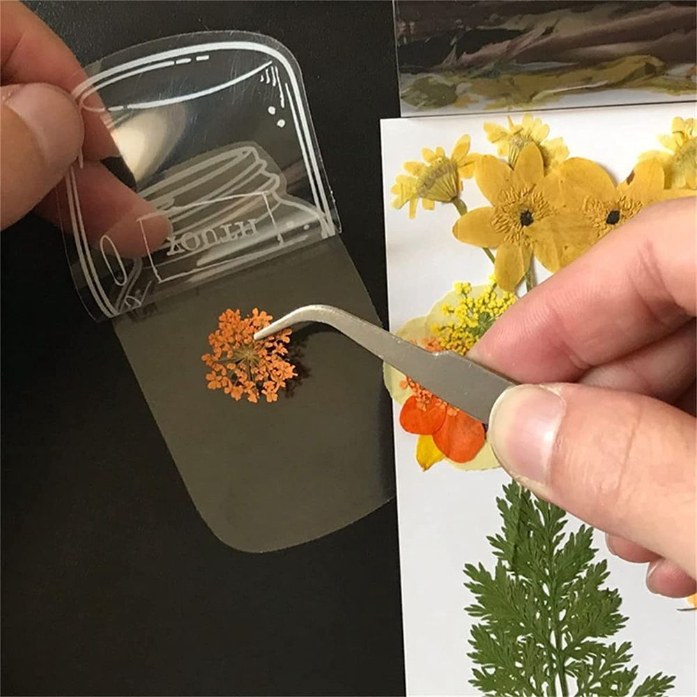 30 Stück transparente getrockn – Dried Flower Bookmark Bewertung und Preis